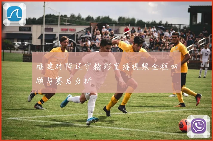 福建对阵辽宁精彩直播视频全程回顾与赛后分析