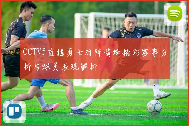 CCTV5直播勇士对阵黄蜂精彩赛事分析与球员表现解析