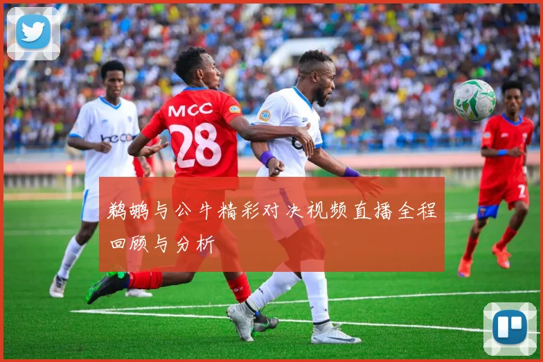 鹈鹕与公牛精彩对决视频直播全程回顾与分析