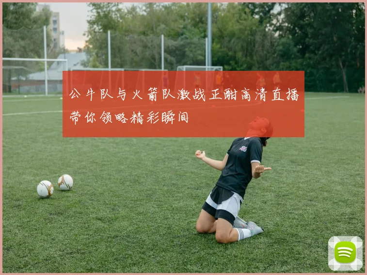 公牛队与火箭队激战正酣高清直播带你领略精彩瞬间