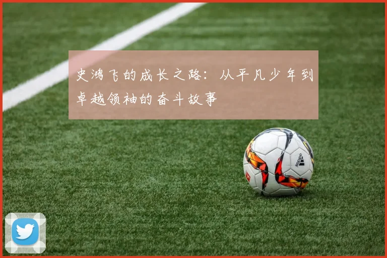 史鸿飞的成长之路：从平凡少年到卓越领袖的奋斗故事