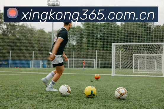 星空体育发展历程